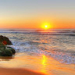 Meet your Posher, Quinn